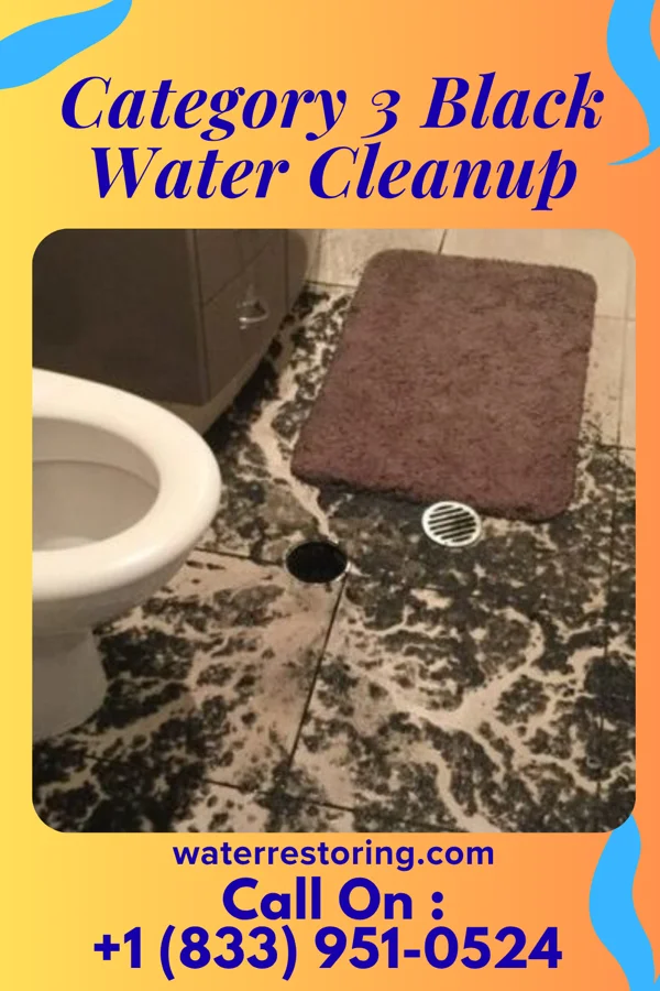 Category 3 Black Water Cleanup in Bassett, NE