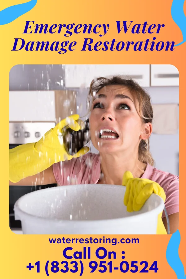 Emergency Water Damage Restoration in Bassett, NE